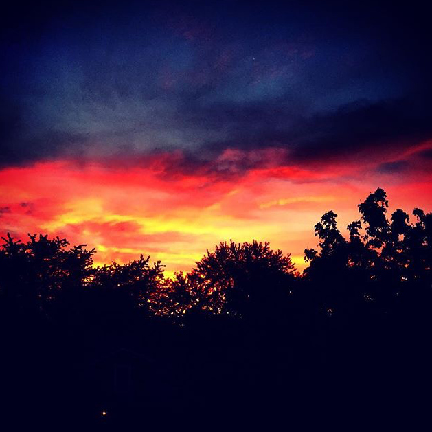 Harrison Street Sunrise - @adventuresofgirlanddog